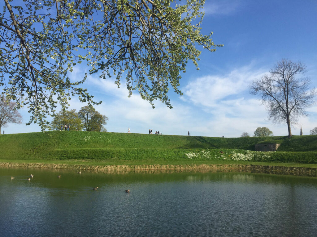 cycling in Copenhagen